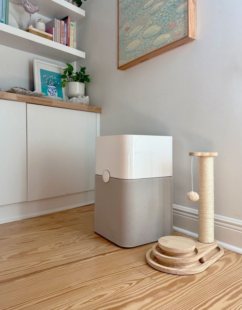 blueair-airpurifer-for-cat-dander-798x1024-1 BlueAir Air Purifier On Floor Next to Cat Scratching Post