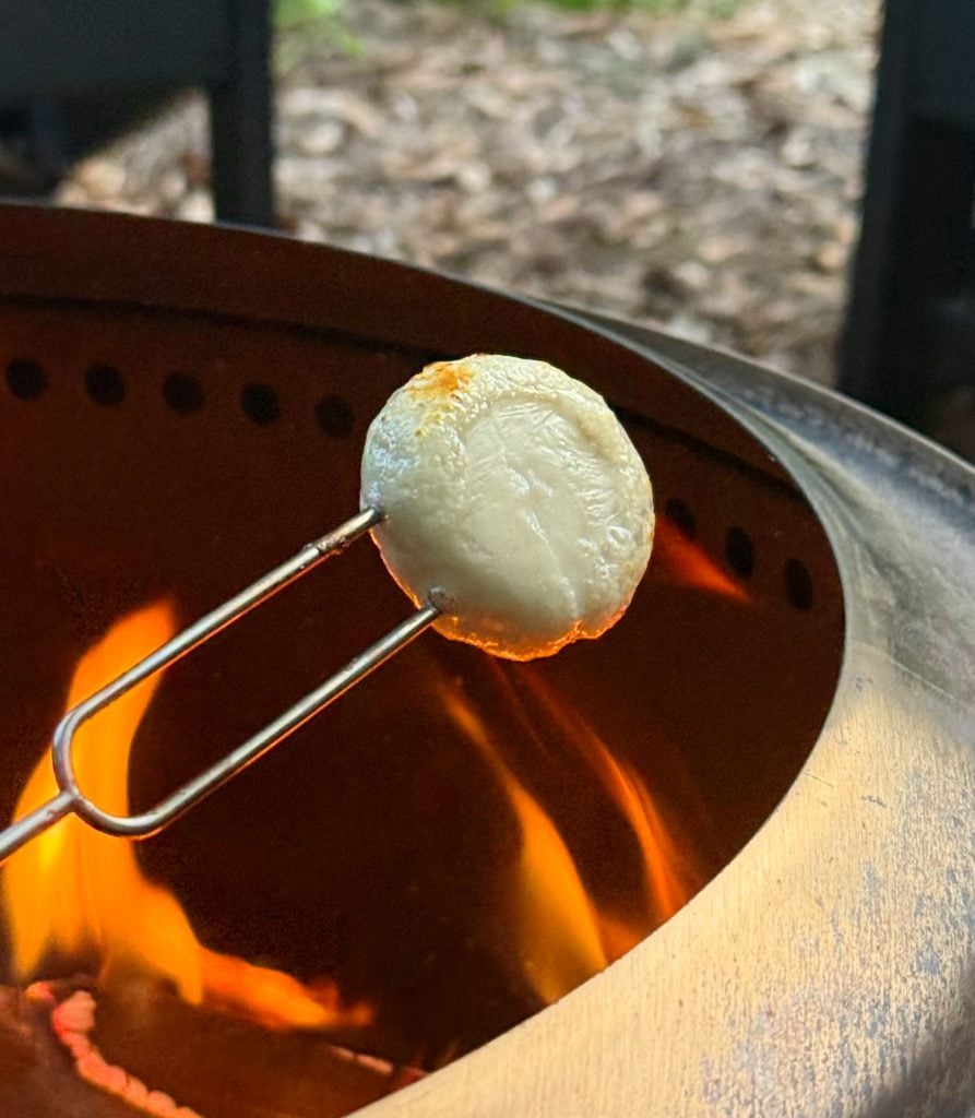 cheese-bite-roasting-for-savory-smore-1-893x1024-1 Roasting Babybell Cheese Over Firepit Flame for Savory Smores