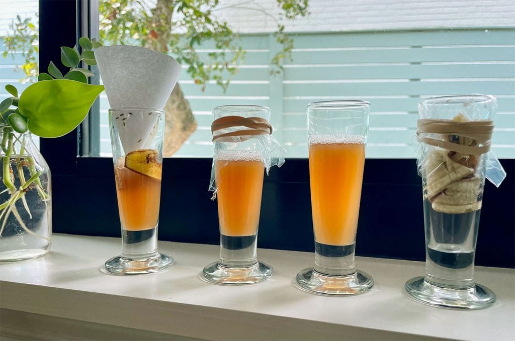 fruit-fly-four-trap-methods-on-windowsill-1024x679-1 4 DIY Fruit Fly Traps Tested On Windowsill