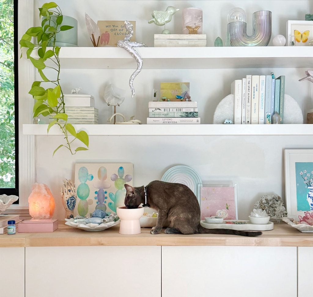 gray-cat-eating-food-near-decorative-shelves-1024x972-1 Gray Girl Cat Eating Food Near Decorative Floating Shelves