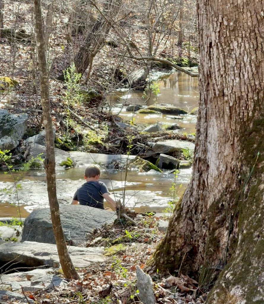 Boy Playing In Creek in Serenbe Georgia