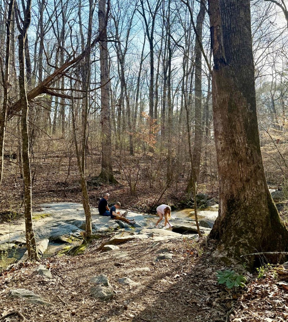 Family Playing In Creek In Serenbe Georgia