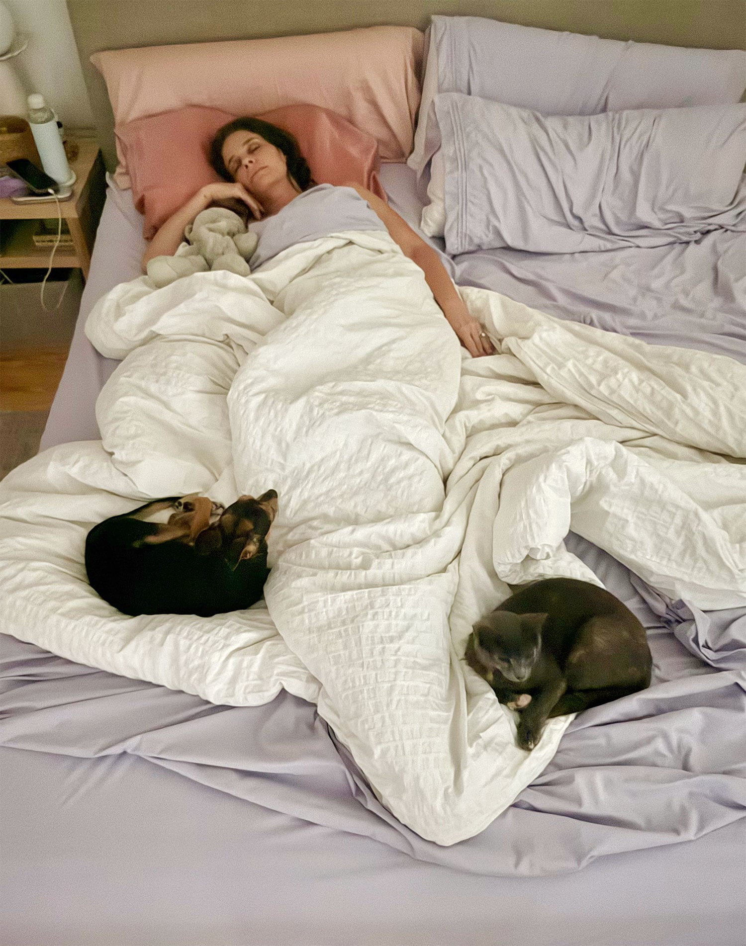 sherry-sleeping-with-dog-and-cat-at-feet Sherry Sleeping In Bed With Dog and Cat At Her Feet
