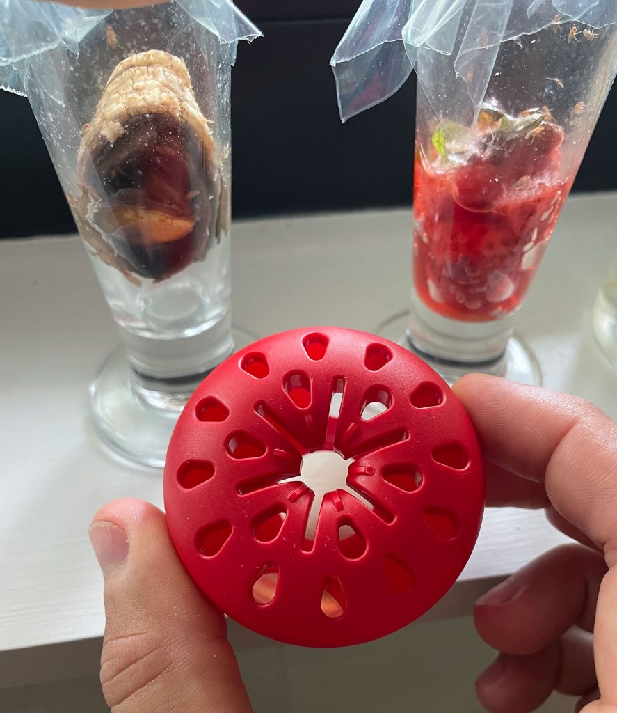 terro-fruit-fly-trap-next-to-diy-traps-887x1024-1 Terro Fruit Fly Apple Trap With No Fruit Flies In It