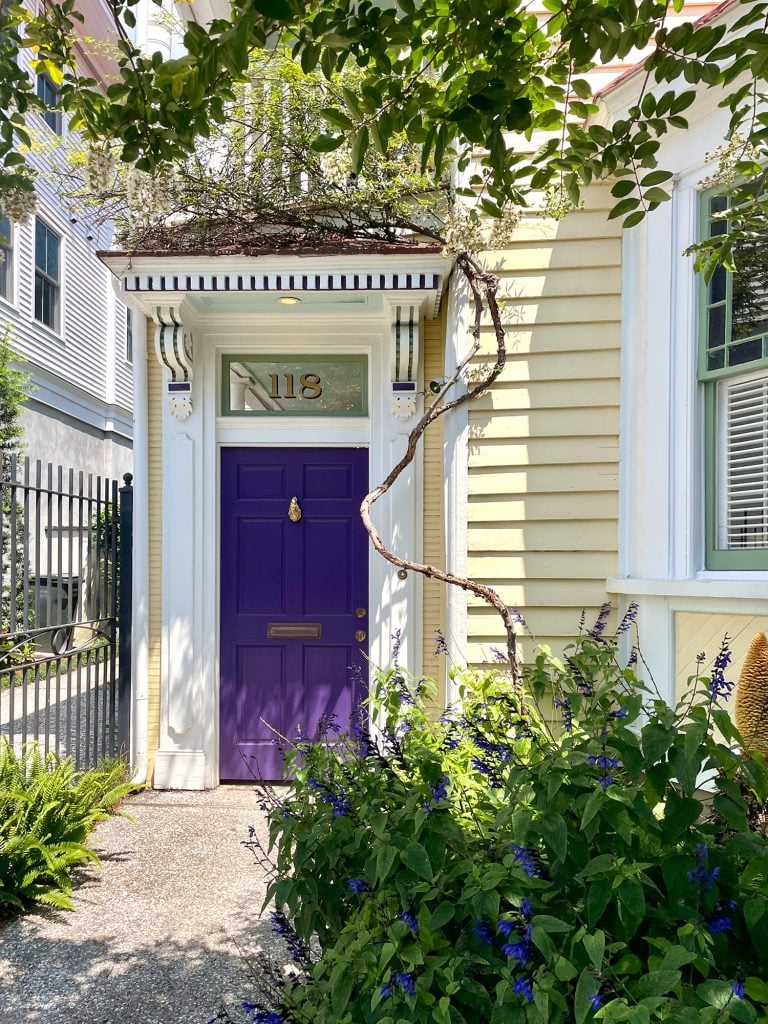 charleston-south-carolina-grapevine-house-768x1024-1 Yellow House With Vine Around Portico In Charleston South Carolina