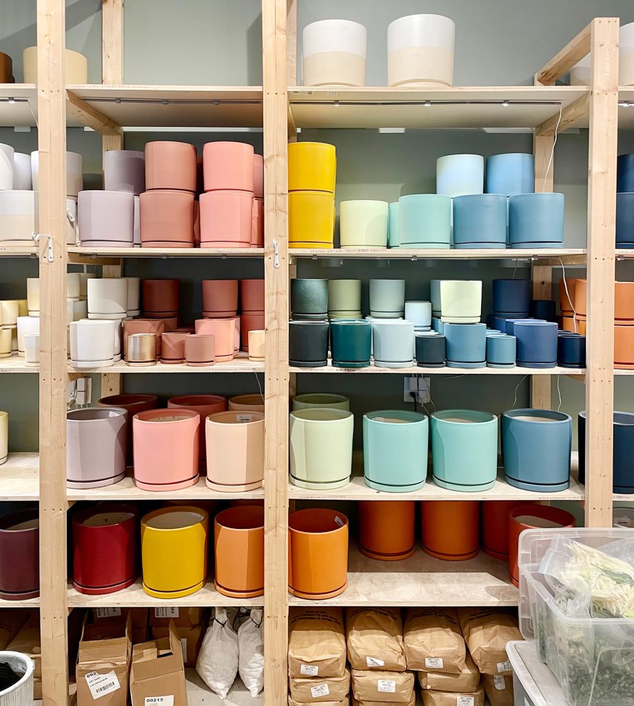 charleston-south-carolina-plant-house-colorful-pots-920x1024-1 Colorful Plant Pots At Plant House In Charleston South Carolina