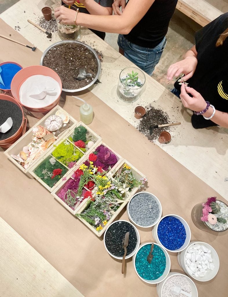 charleston-south-carolina-plant-house-terrarium-making-787x1024-1 Children Making Terrariums At Plant House In Mount Pleasant In Charleston South Carolina