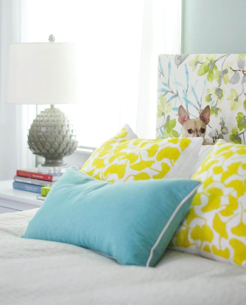 diy-upholstered-headboard-after-burger-behind-pillow-829x1024-1 Chihuahua sitting on yellow gingko pillows against colorful upholstered DIY headboard