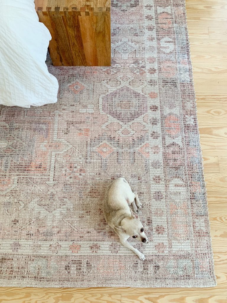 florida-our-bedroom-burger-rug-overhead-768x1024-1 Chihuahua sitting on West Elm Pink Vintage Subtle Rug In Bedroom