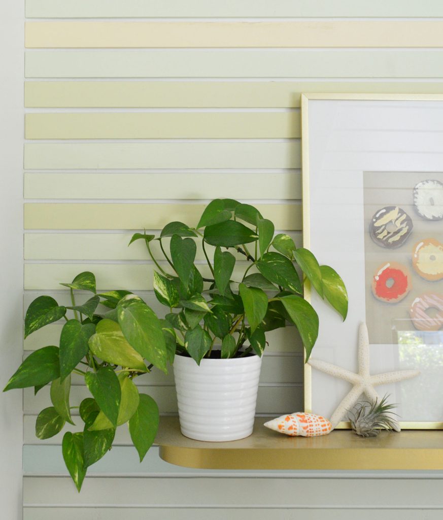 golden-pothos-colorful-wall-vertical-873x1024-1 Gold Pothos On Colorful Striped Wall