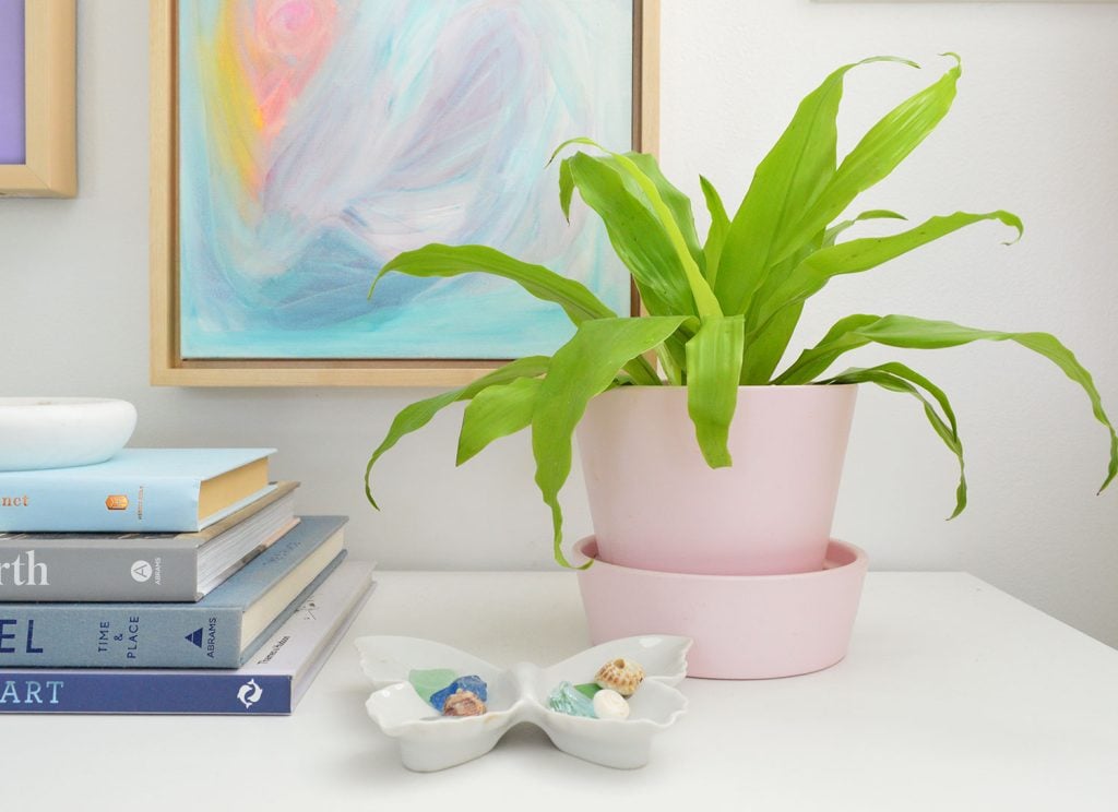 limelight-corn-plant-by-art-1024x744-1 Limelight Corn Plant In Pink Pot