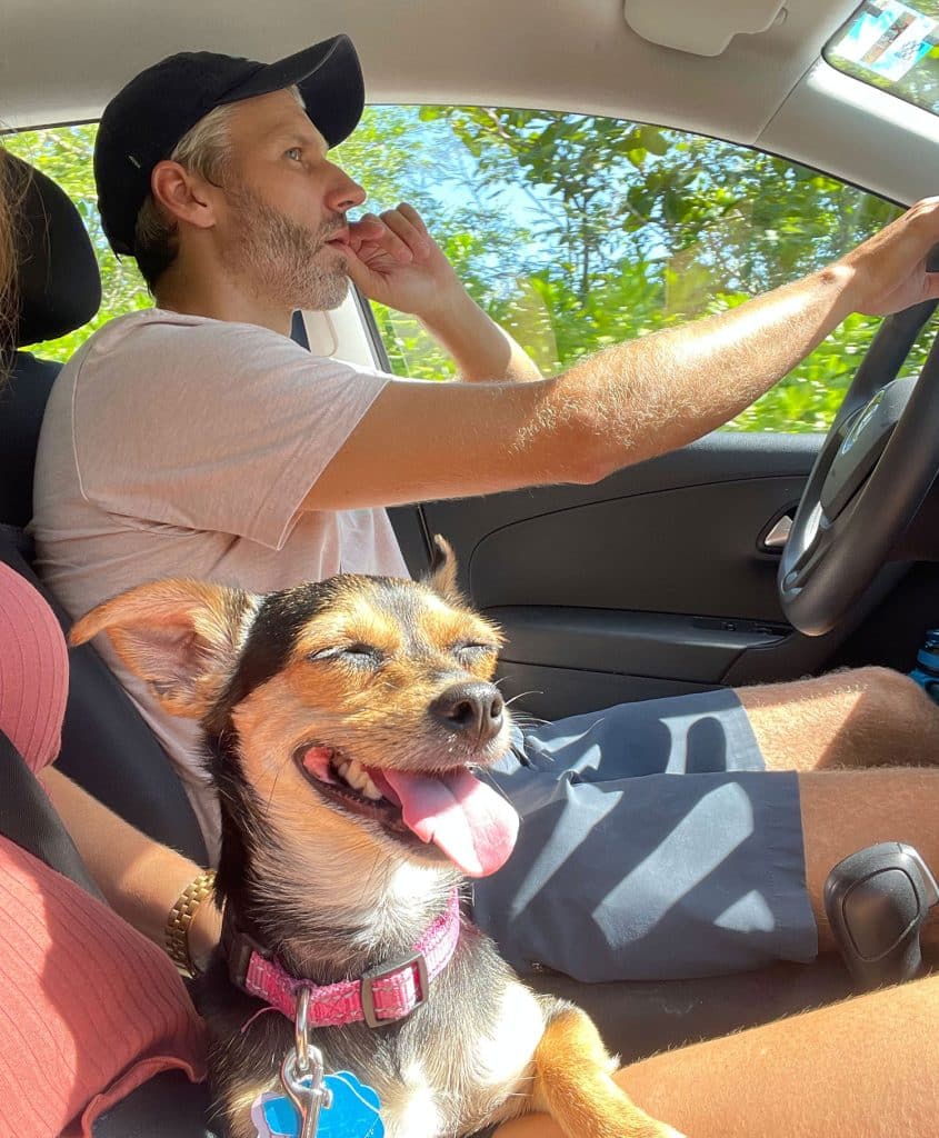 mexico-with-kids-john-driving-with-penny-845x1024-1 John Driving In Mexico With Penny The Chorkie
