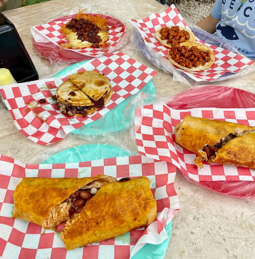 mexico-with-kids-taco-bish-food-truck-1008x1024-1 Taco Bish Food Truck Food In Tulum Mexico
