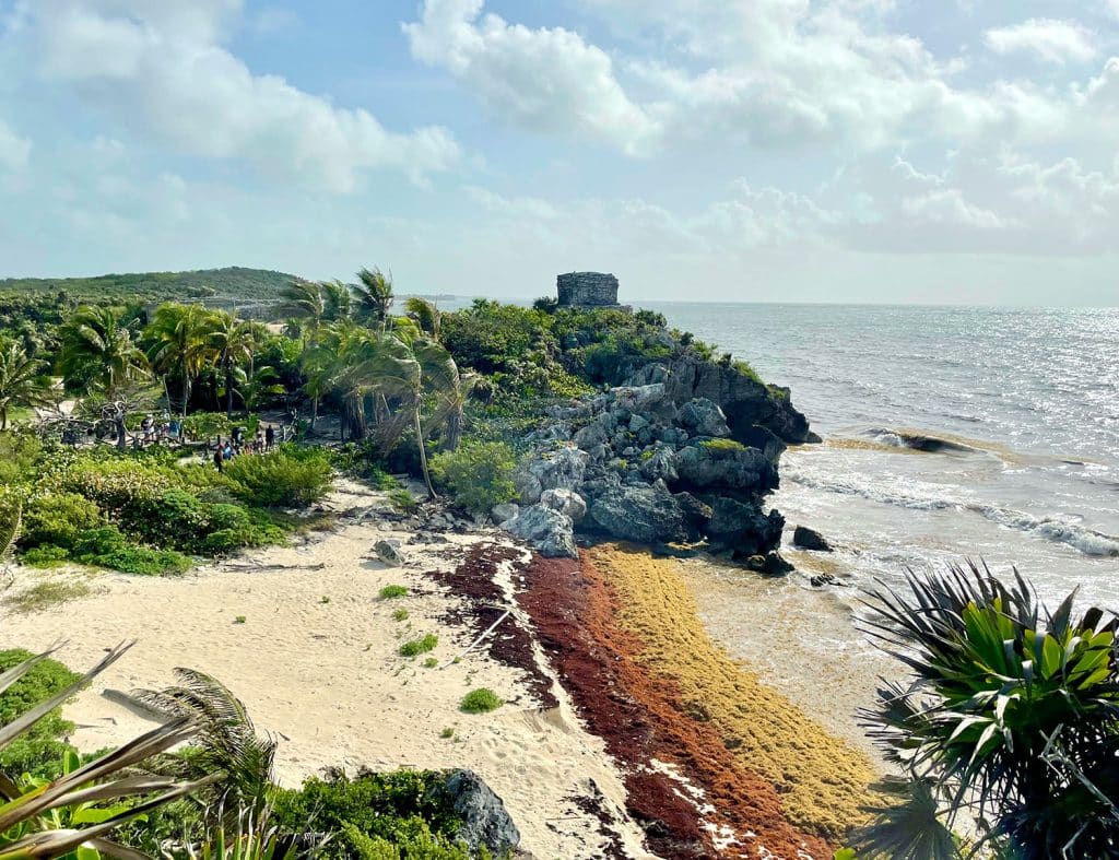 mexico-with-kids-tulum-ruins-sargassum-beach-1024x787-1 Tulum Mayan Ruins Beach With Sargassum Algae Build Up