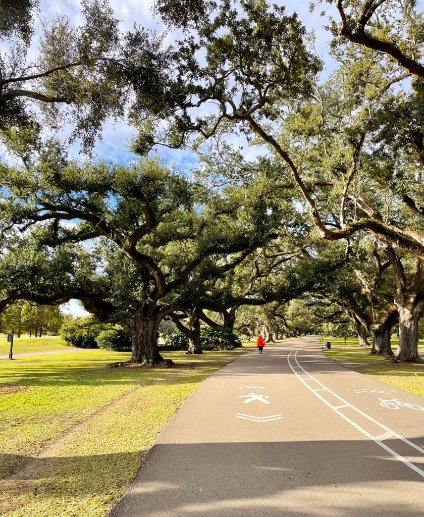 new-orleans-audubon-park-biking-path-840x1024-1 Paved Bike Walking Path In Audubon Park New Orleans