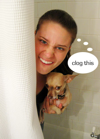unclogging-a-drain-diy Sherry holding chihuahua in bathroom with clog this speech bubble