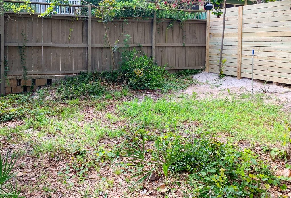before-pool-side-yard-weeds-1024x698-2 Before Pool Side Yard Weeds
