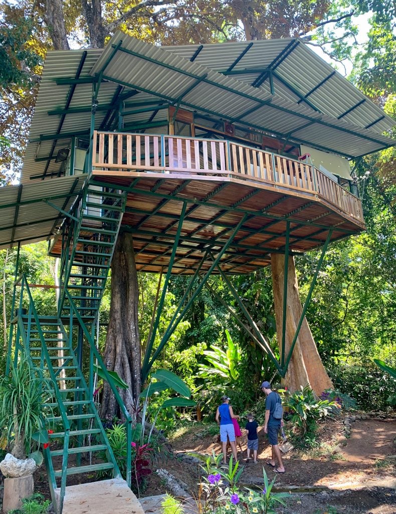 costa-rica-vacation-royal-butterflies-treehouse-airbnb-790x1024-1 Treehouse at Royal Butterfly Gardens In Costa Rica