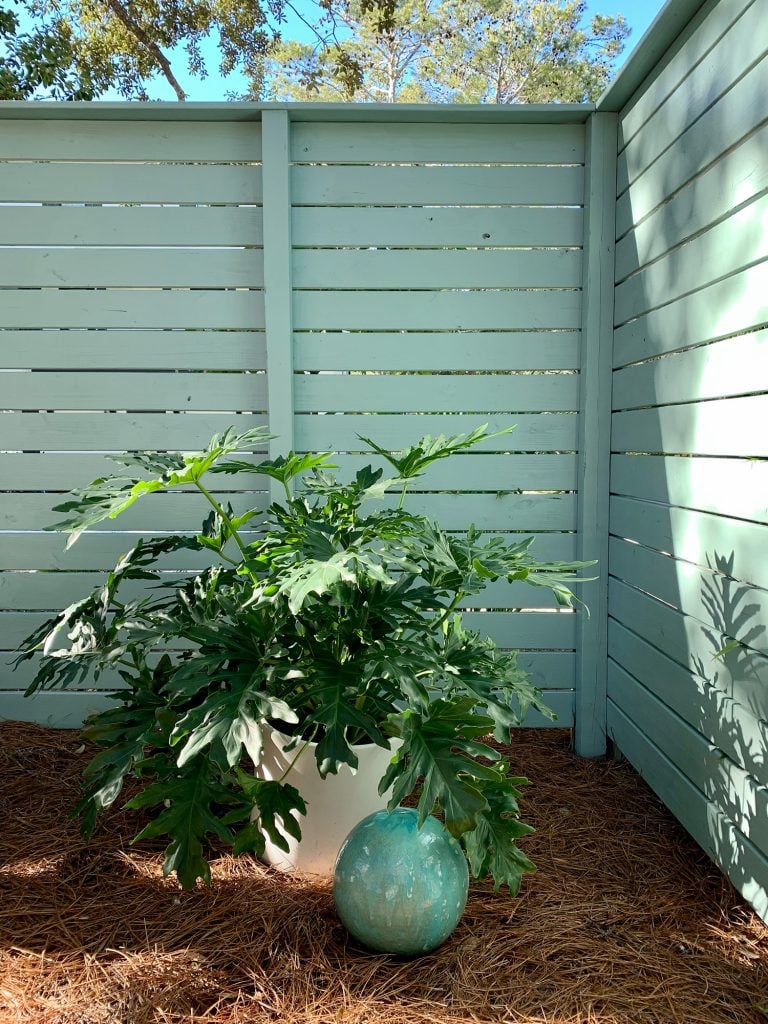 firepit-area-detail-corner-planter-and-ball-768x1024-1 Large potted plant in the corner of side yard fence along with patina green gazing ball