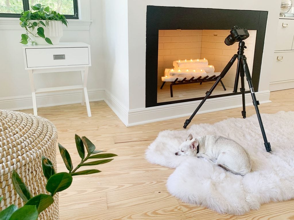 florida-bedroom-fireplace-burger-sleeping-1024x768-1 Camera on tripod set up to take photo of fireplace with chihuahua sleeping on fur rug underneath