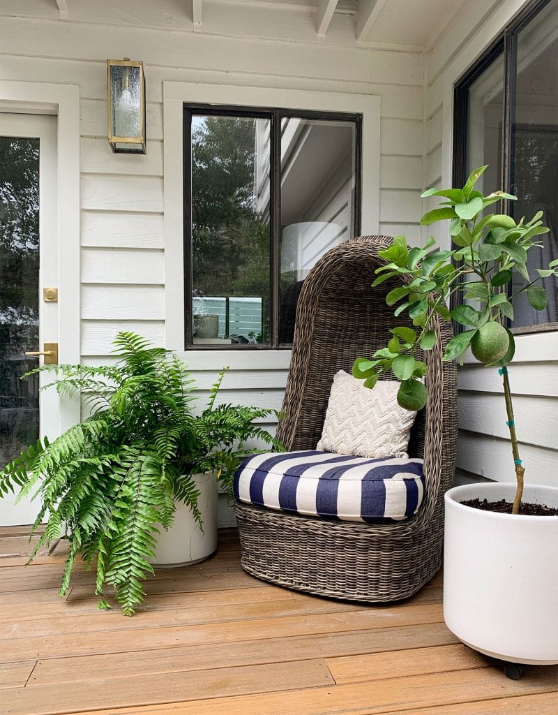 front-porch-fall-egg-chair-800x1024-1 Woven Egg Chair With Large Fern And Potted Lemon Tree