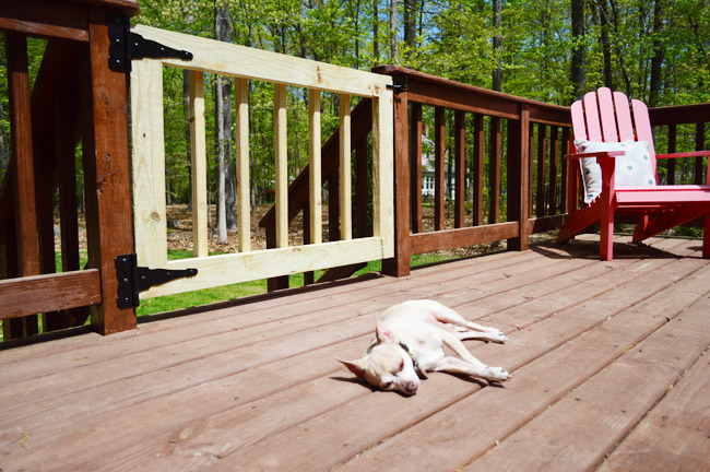 gates-16-burger-sunning Gates 16 Burger Sunning