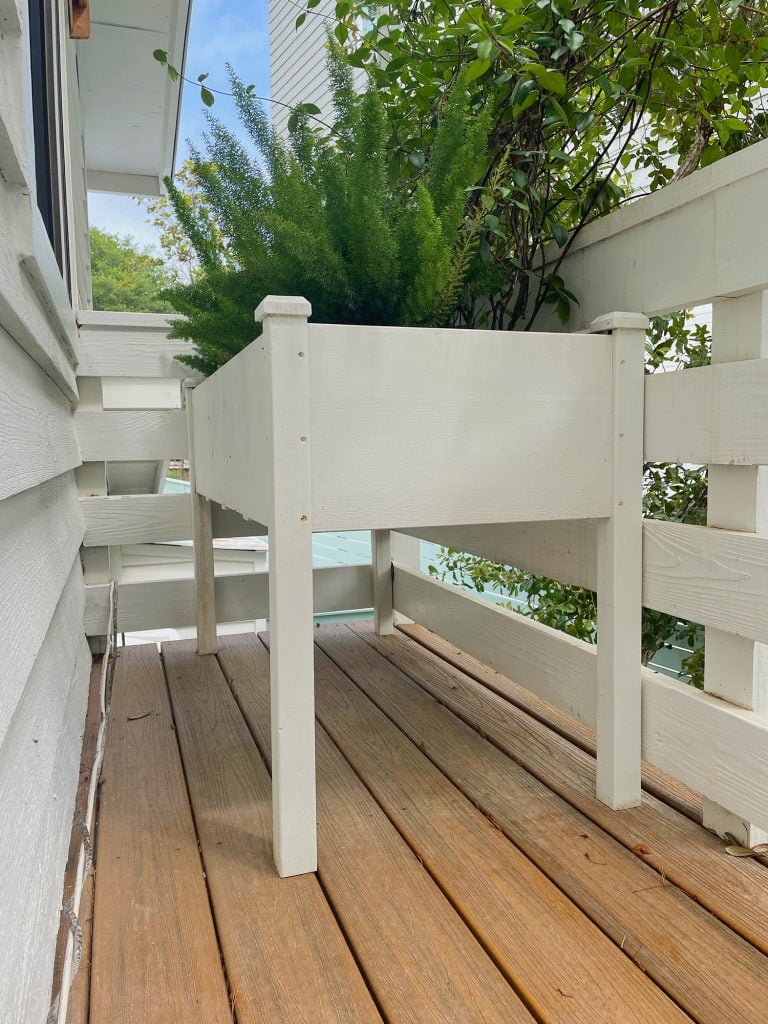 jasmine-outside-planter-box-768x1024-1 Jasmine Outside Planter Box
