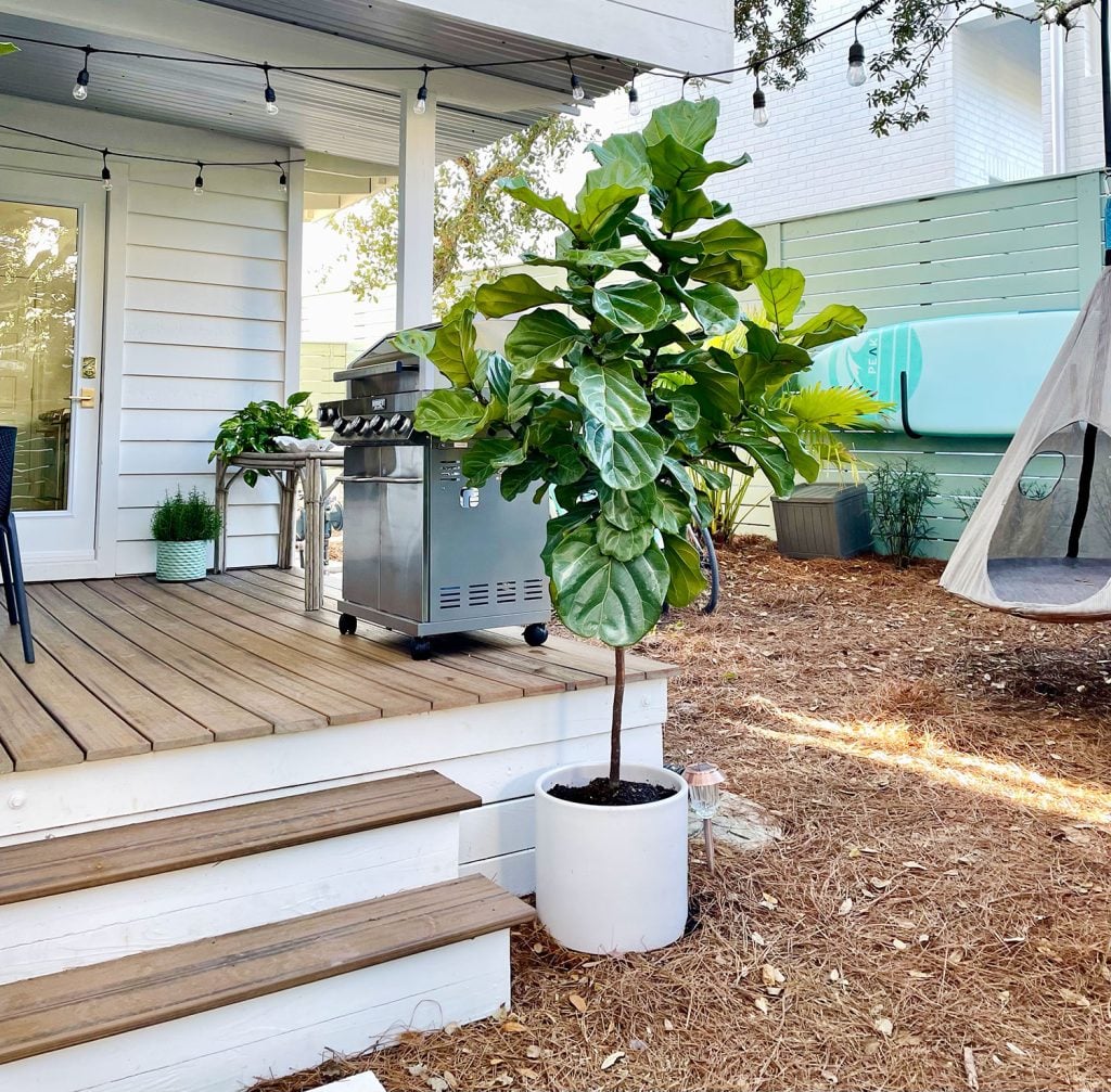 kitchen-porch-side-swing-area-1024x1007-1 Potted fiddle leaf fig outdoors next to stairs to side porch