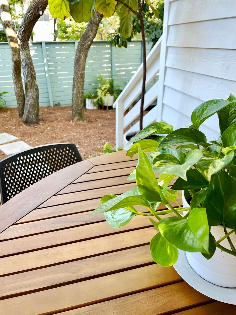 kitchen-porch-table-detail-768x1024-1 Detail of wood table and potted pothos plant