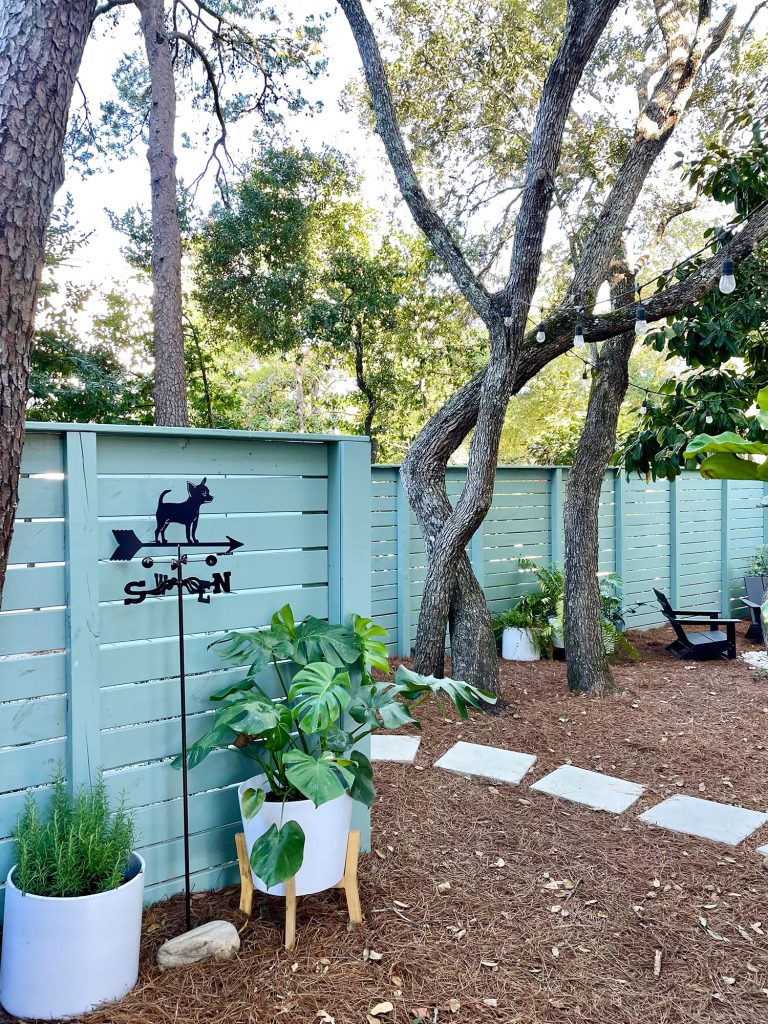 kitchen-porch-three-twisted-trunks-after-shot-768x1024-1 After photo of firepit area with green fence potted plants and chihuahua weathervane