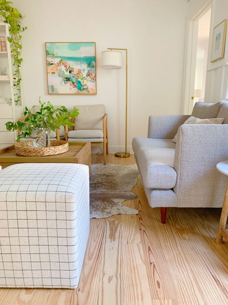 loveseat-sitting-area-plants-and-cuttings-768x1024-1 Walkway space in front of gray loveseat in downstair sitting area