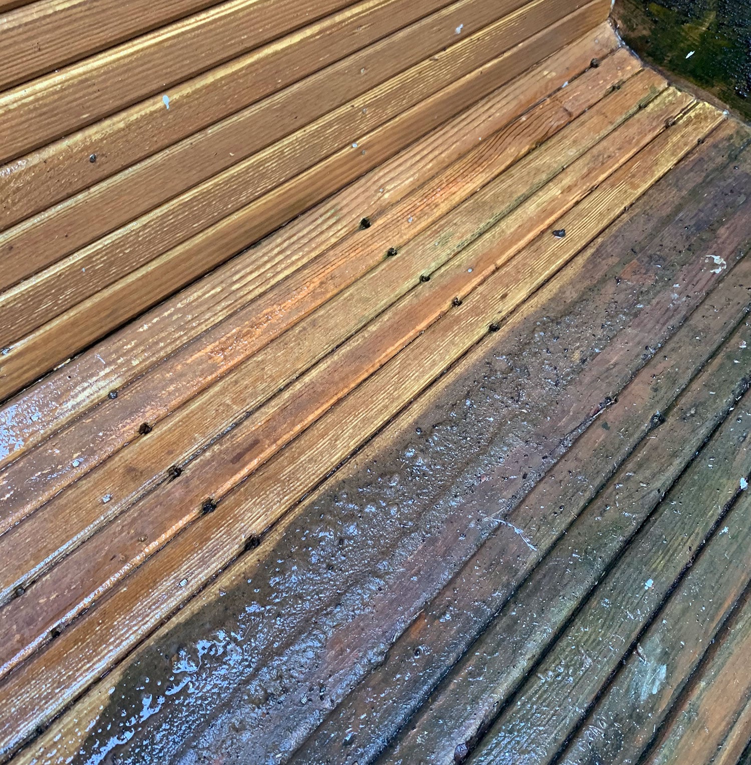 outdoor-shower-during-bench-powerwashed Outdoor Shower During Bench Powerwashed