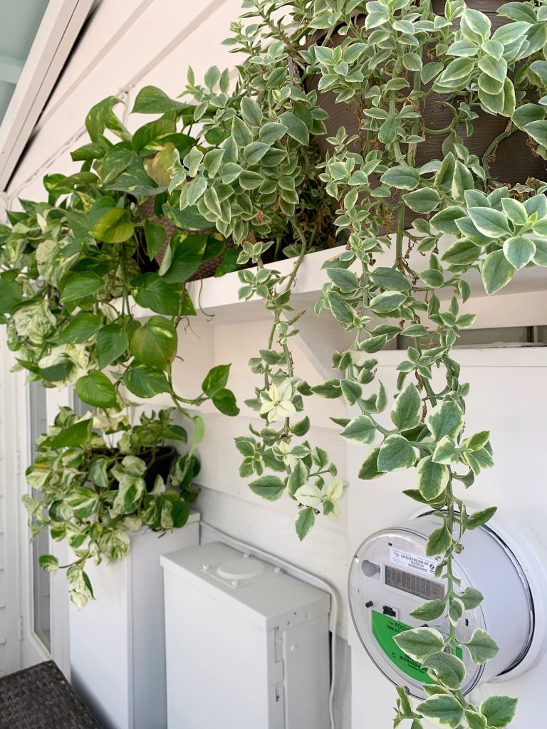 plant-shelves-on-porch-768x1024-1 Close Up Of Plant Shelf With Greenery Draping Down To Cover Electrical Panel Boxes