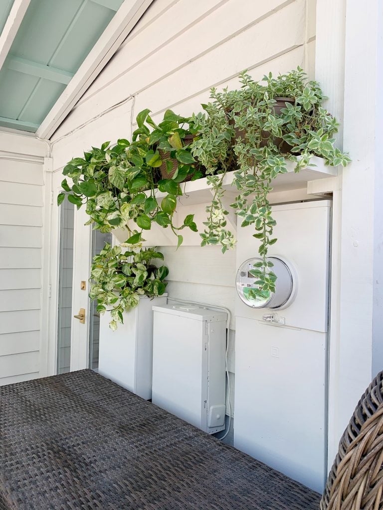 plant-shelves-on-porch-closer-vertical-768x1024-1 Closer View Of Plant Shelf With Foliage Covering Electrical Panel Boxes Painted White