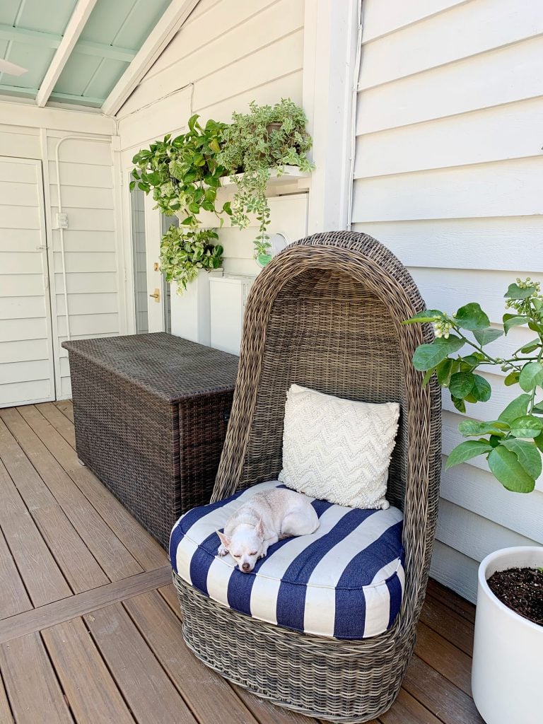 plant-shelves-on-porch-horizontal-photo-768x1024-1 View Of Outdoor Porch With Egg Chair In Foreground And Plant Shelf In Background