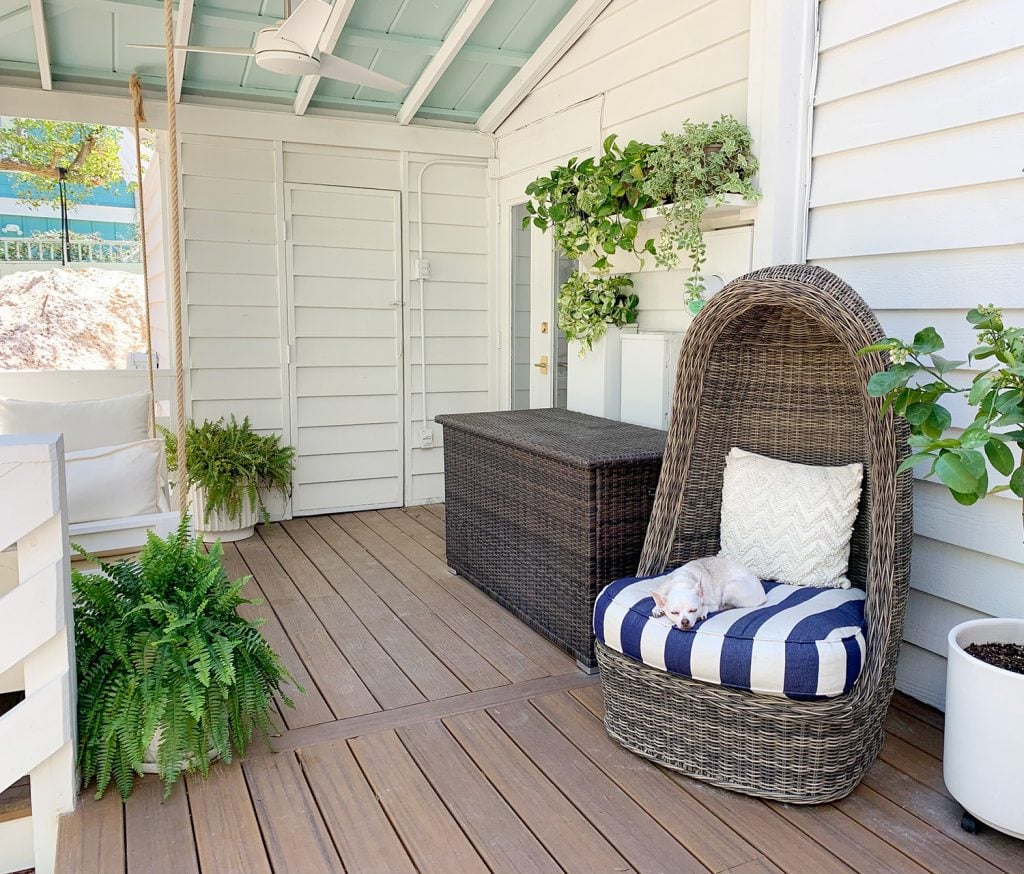 plant-shelves-on-porch-wide-shot-horizontal-pic-1024x874-1 Full View Of Covered Porch With Plants Everywhere And Dog Sleeping In Egg Chair
