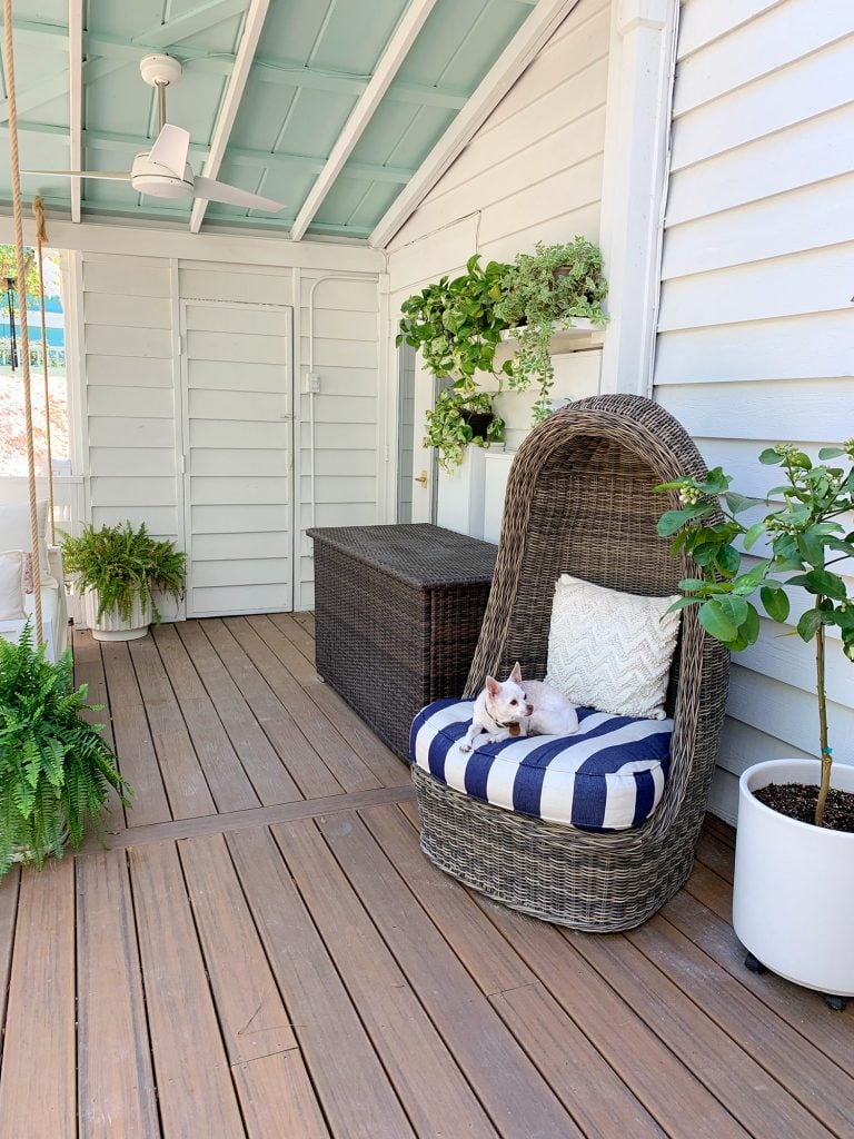 plant-shelves-wide-shot-768x1024-1 Full View Of Covered Porch With Plant Shelf And Other Potted Plants