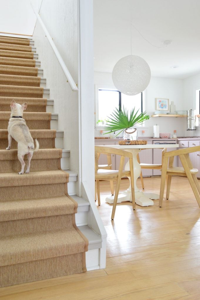 sisal-stair-runner-vertical-angle-with-burger-alt-681x1024-1 Chihuahua Walking Up Sisal Stair Runner With Kitchen In Background