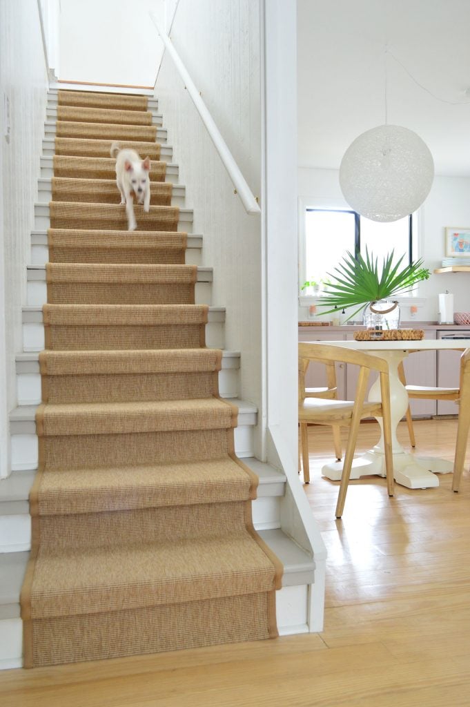 sisal-stair-runner-vertical-with-burger-blur-681x1024-1 Chihuahua Dog Running Down Staircase With Sisal Runner