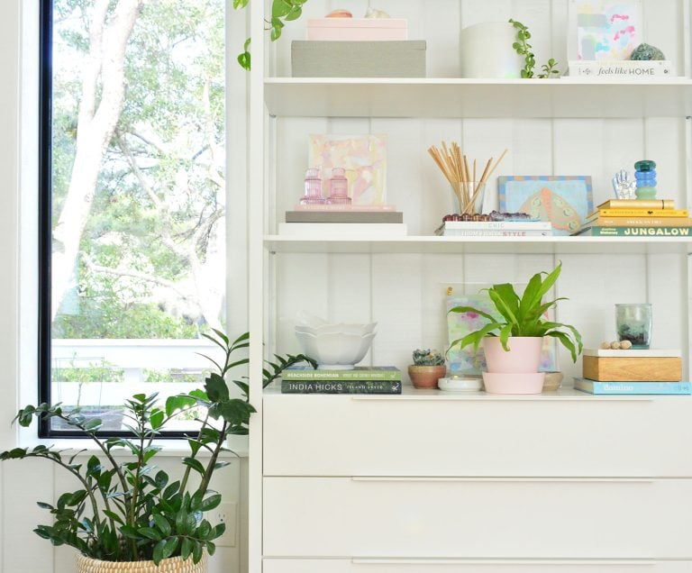 Best Air Purifying Plants